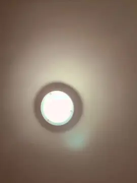 Cam4 Adult Video Chat of Loresofia