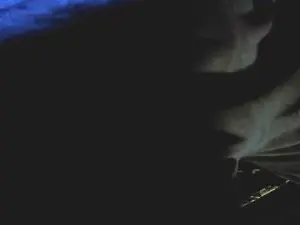 Cam4 Watch Live Sex Cams of MEFOLLOENCIMA