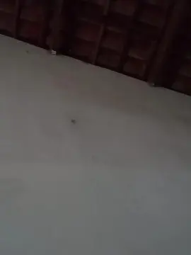 Cam4 Live Sex Cam of Paixao_sexy1