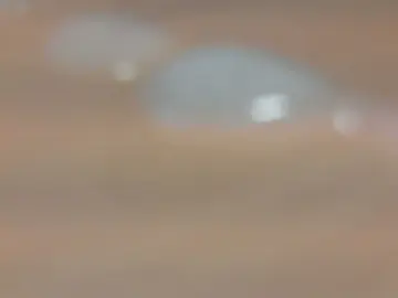 Cam4 Live Porn of Arne_nrw_bi