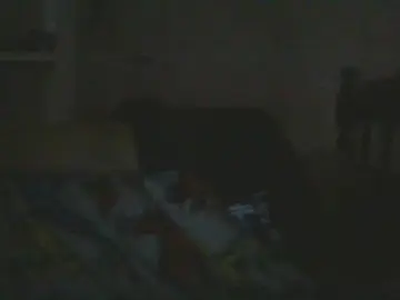 Cam4 Adult Video Chat of ariscomexican