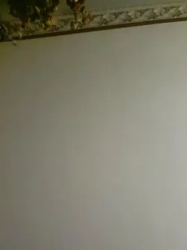 Cam4 Sex Chat of Jennmuffin