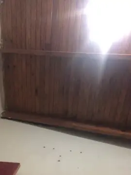 Cam4 Sex Cam of Missimpatik