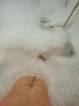 Cam4 Best live sex cam show of chico28284