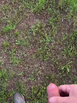 Cam4 Adult Video Chat of amo_la_figa