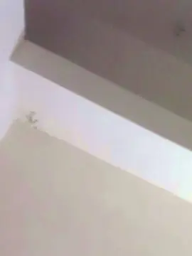 Cam4 Best Webcam of dan666mex