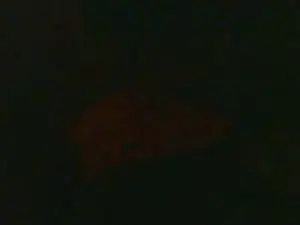 Cam4 Best live sex cam show of thighwalker