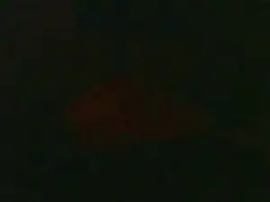 Cam4 Private Sex Chat of thighwalker