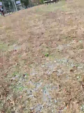 Cam4 Watch Live Sex Cams of PixelTemptress