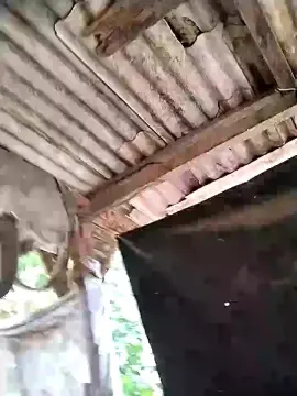 Cam4 Nude Webcam of Alisonjuenendun