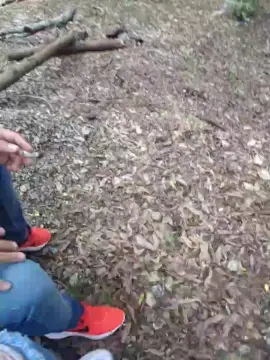 Cam4 Live Sex Cam of Clark_Jhonz