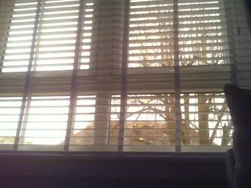 Cam4 Nude Webcam of scotlad52