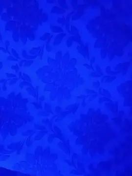 Cam4 Live Porn of Toolvergonx