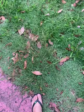 Cam4 Adult Webcams of sid_bila