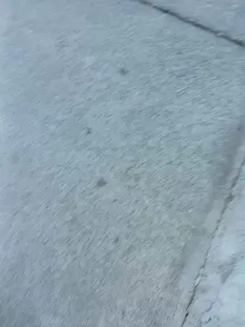 Cam4 Adult Webcams of Benjabigdick