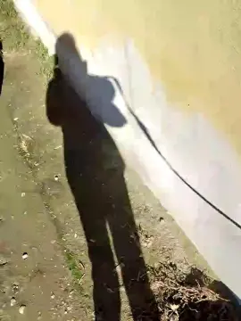 Cam4 Free Porn Cam of luxxuriax