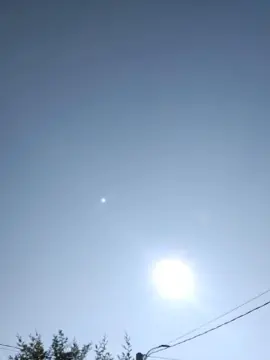 Cam4 Free Porn Cam of luxxuriax