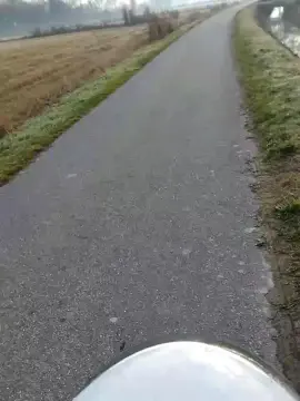 Cam4 Free Porn Cam of luxxuriax