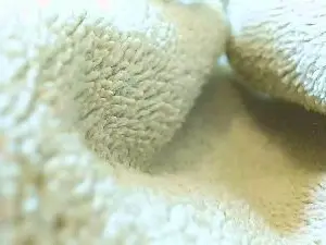 Cam4 Live Sex Cam of kyisuno