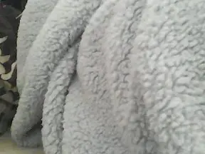 Cam4 Adult Webcam of Dreamsonfire