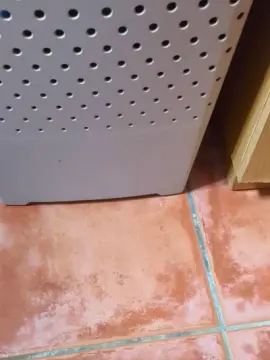 Cam4 Free Porn Cam of Mike283719