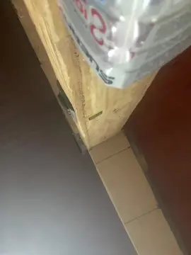 Cam4 Best live sex cam show of Thudiabla23