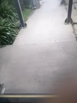 Cam4 Adult Video Chat of Daniel_38_39