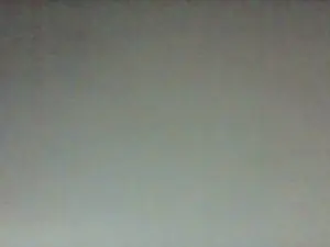 Margiale84 from cam4