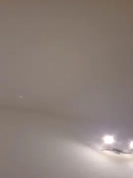 Cam4 Free Porn Cam of Porz666