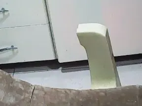 Cam4 Watch Live Sex Cams of pacharrumba