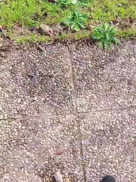 Cam4 Adult Video Chat of slipbagnato