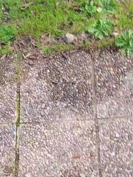 Cam4 Adult Video Chat of slipbagnato