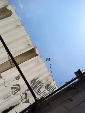 Cam4 Sex Chat of weedmanhot28