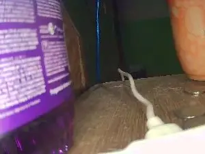 Cam4 Adult Webcams of Don_chaquetas