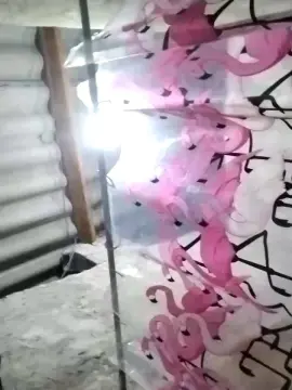 Cam4 Live Porn of Novinhojr19