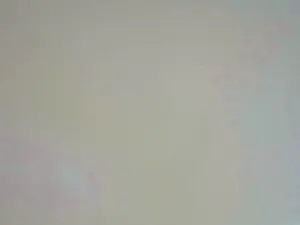 Cam4 Adult Webcam of calipos6996