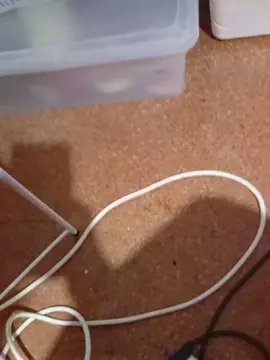 Cam4 Watch Live Sex Cams of fantasias_xxx