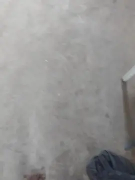 Cam4 Adult Webcams of 06829793335