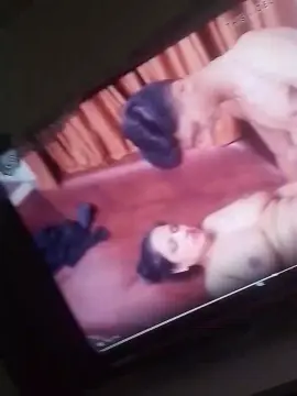 Cam4 Adult Webcams of 06829793335