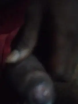 Cam4 Adult Webcams of 06829793335