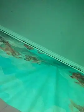 Cam4 Watch Live Sex Cams of Sofiita_dolls