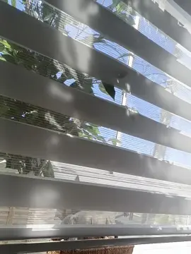 Cam4 Watch Live Sex Cams of Volkanox