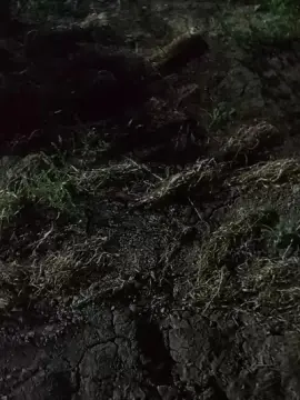 Cam4 Adult Webcams of Asasass