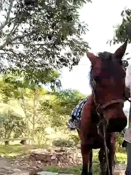 Cam4 Sex Cam of Remote_live