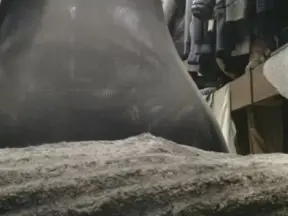 Cam4 Live Porn of analpig1