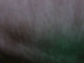 Cam4 Live Sex of dudiedu