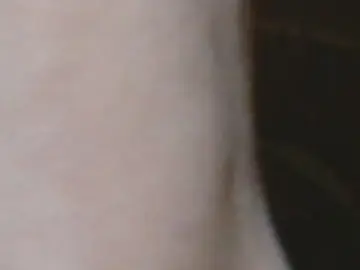 Cam4 Watch Live Sex Cams of samuari70