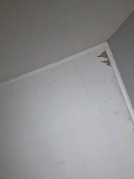 Cam4 Adult Video Chat of Iza__ak