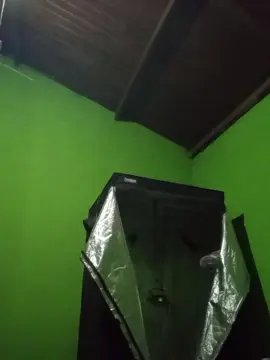 Cam4 Adult Webcam of Tatuaditxx