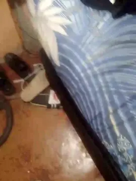 Cam4 Live Sex Cam of Gustavit09